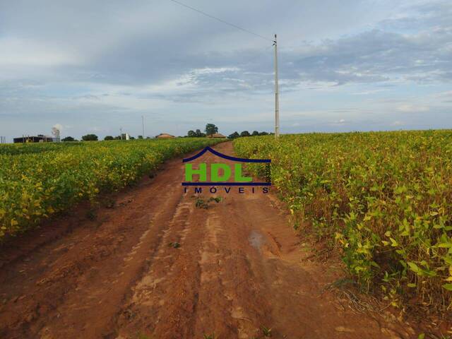 #FZ-226 - Fazenda para Venda em Hidrolândia - 