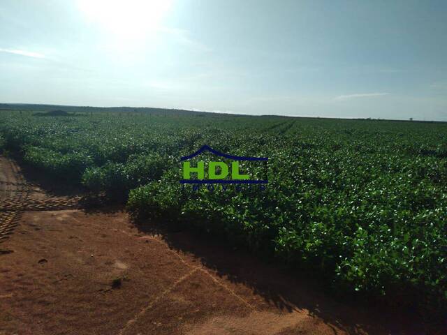 #FZ-226 - Fazenda para Venda em Hidrolândia - 