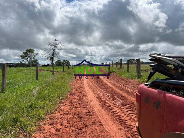 #FZ-246 - Fazenda para Venda em Torixoréu - MT