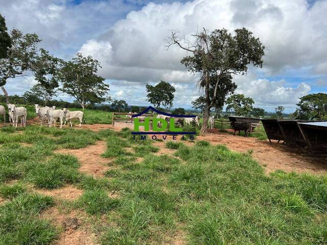 #FZ-246 - Fazenda para Venda em Torixoréu - MT