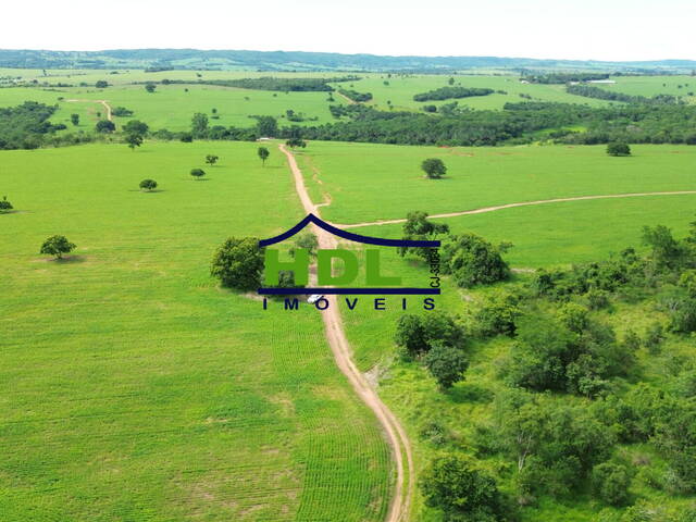 #FZ-260 - Fazenda para Venda em Hidrolândia - 